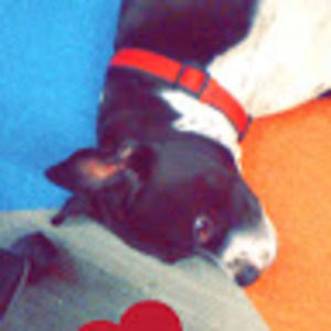 Meet your Posher, Megi